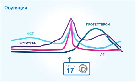 Основные признаки овуляции