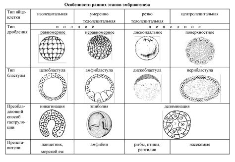 Основные признаки полноценных яйцеклеток