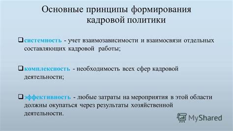 Основные принципы взаимосвязи и взаимозависимости