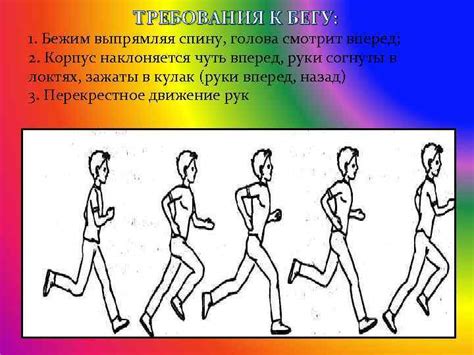 Основные принципы выполняемых движений