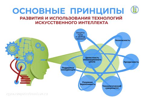 Основные принципы использования гоки