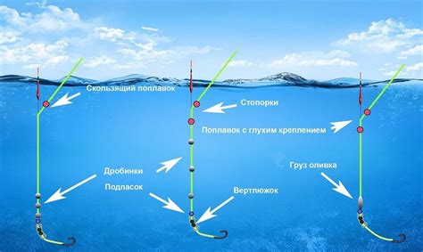 Основные принципы ловли рыбы на удочку