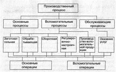 Основные принципы мутационных процессов