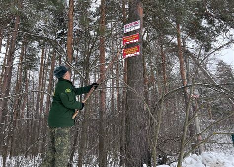 Основные принципы патрулирования