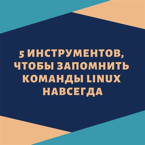 Основные принципы работы команды chmod