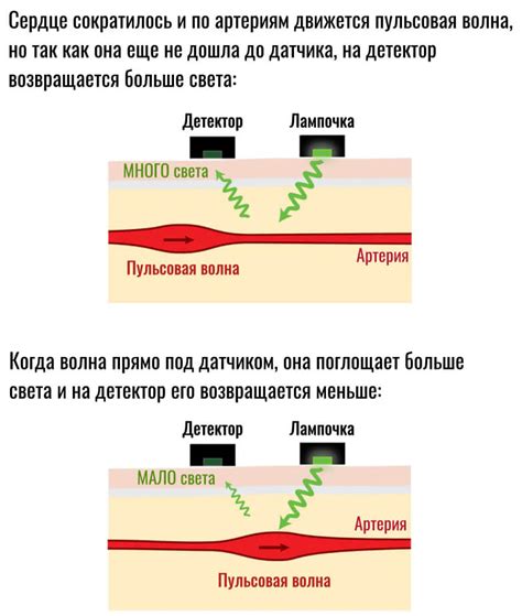 Основные принципы работы пульсометра на палец