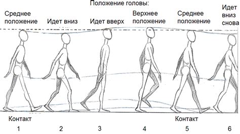 Основные принципы рисования ходьбы по кадрам