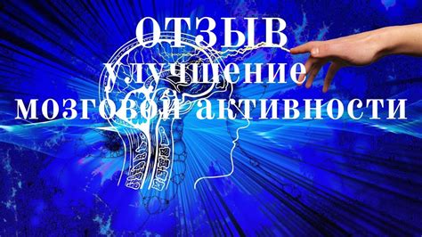 Основные принципы формирования мозговой активности