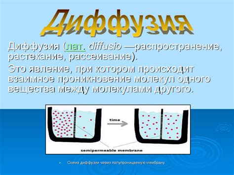 Основные причины диффузии в газах и жидкостях