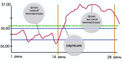 Основные причины изменения базальной температуры