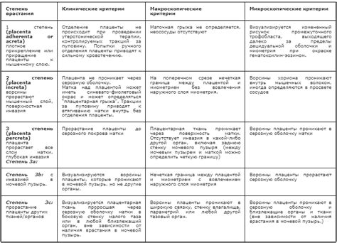 Основные причины крашения пола