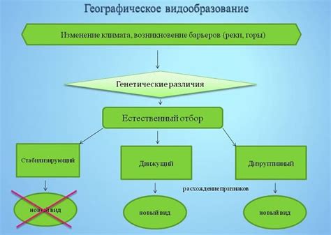 Основные причины формирования ополчений