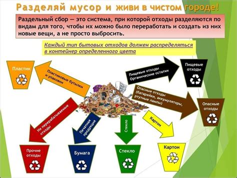 Основные проблемы при накоплении мусора