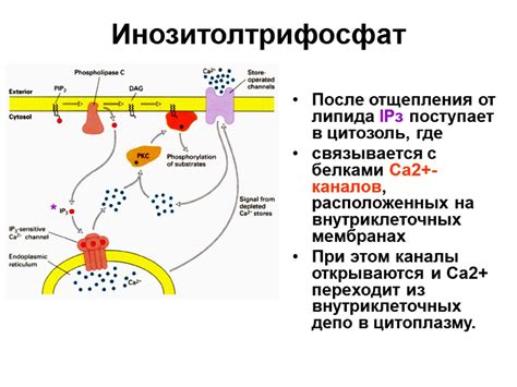 Основные пути передачи