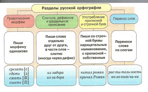 Основные разделы