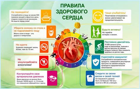 Основные рекомендации по изменению образа жизни для снижения давления и устранения тошноты