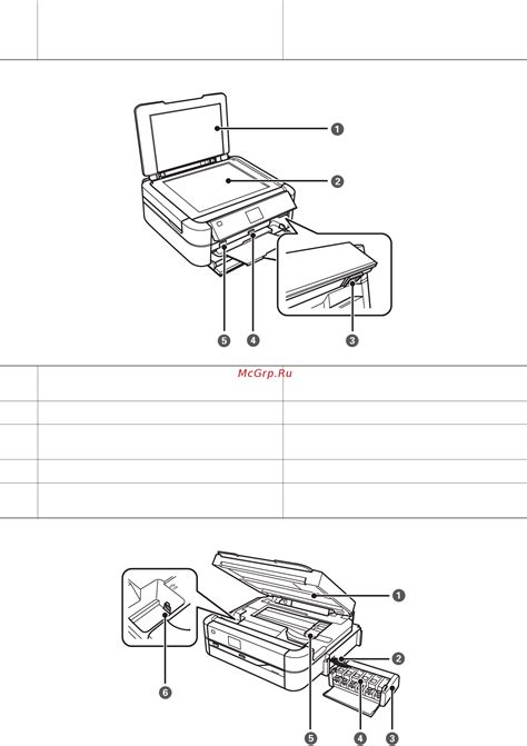 Основные сведения о принтере Epson