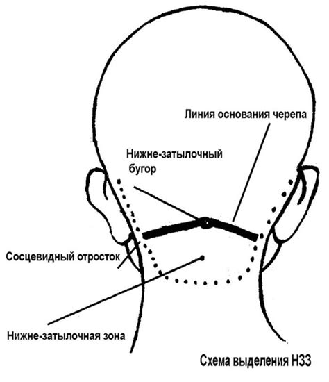 Основные симптомы боли при нажатии на затылочные бугры