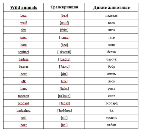 Основные способы перевода тигра на английский