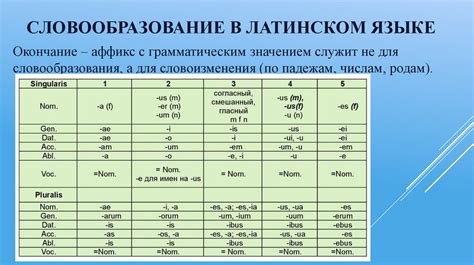 Основные сходства македонского и русского языков