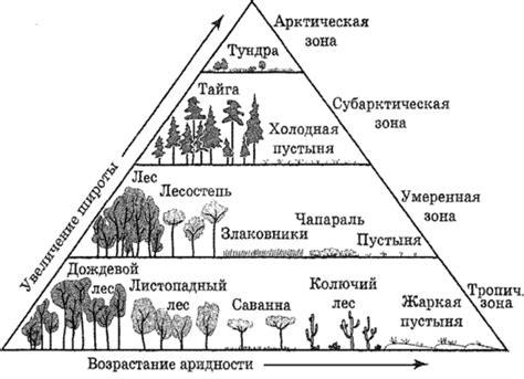 Основные типы биомов и их особенности