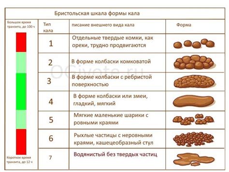 Основные факторы, влияющие на цвет кала