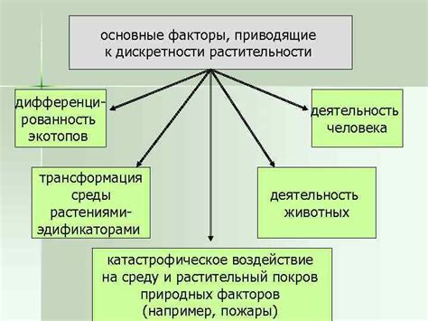 Основные факторы, приводящие к быстрому цветению аквариума