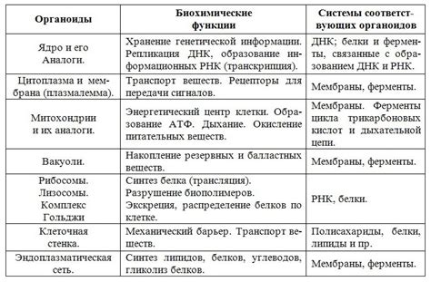 Основные функции аппарата и их описание