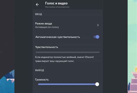 Основные функции звука в Discord: что можно делать