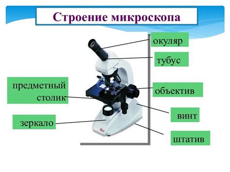 Основные функции микроскопа ПС