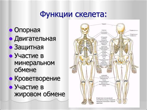 Основные функции перка злопамятного