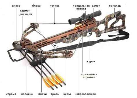 Основные части арбалета: каркас, тетива и стрелы