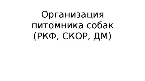 Основные шаги для открытия питомника собак с РКФ