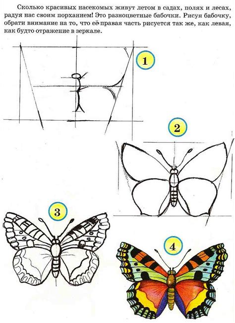 Основные шаги рисования бабочки