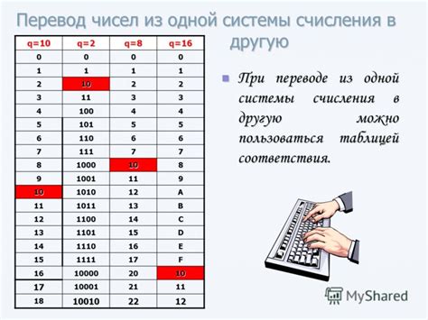 Основные шаги создания системы счисления в Word