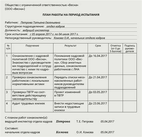 Основные шаги установки задач на испытательный срок