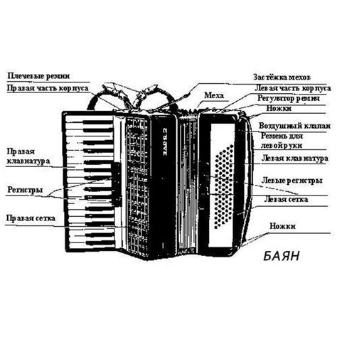 Основные элементы аккордеона