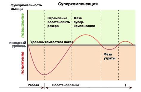 Основные этапы восстановления реостата