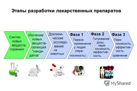 Основные этапы диагностики фазмофобии