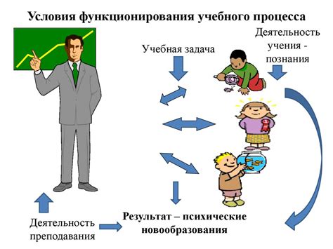 Основные этапы и темы обучения новичков