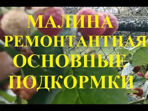 Основные этапы обрезки