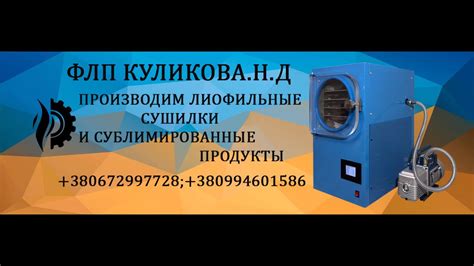 Основные этапы процесса лиофильной сушки