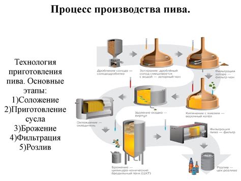 Основные этапы процесса пивоварения дома