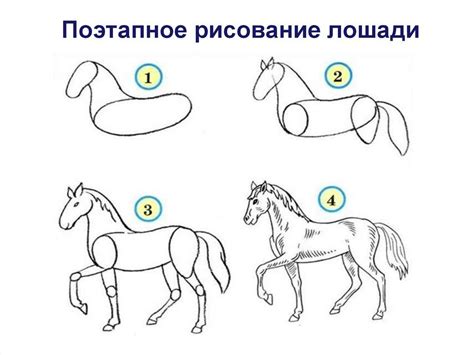 Основные этапы рисования лошади на дыбах карандашом