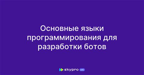 Основные языки программирования: выбор подходящего