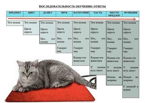 Основы изменения веса