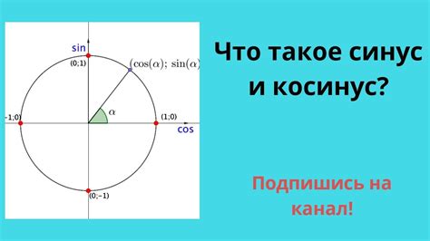 Основы косинуса в математике