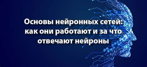 Основы нейронных фильтров