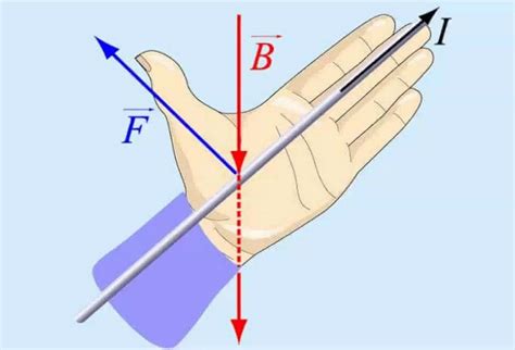 Основы правила левой руки в физике