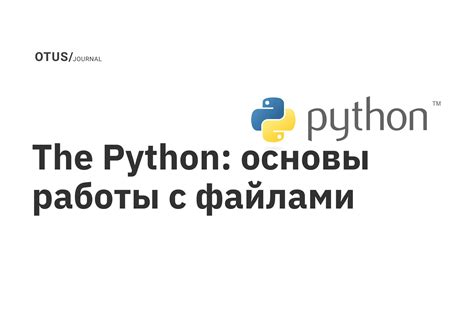 Основы работы в Python